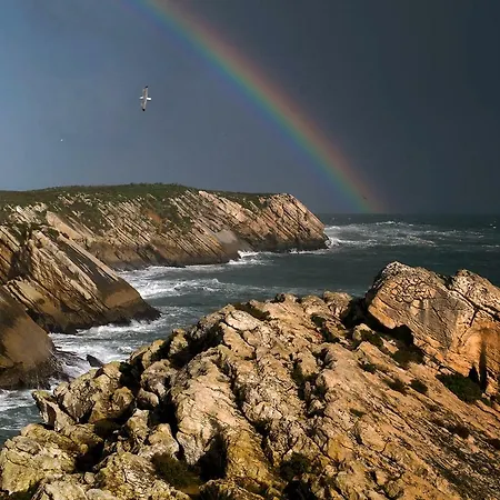 Captain Nemo's Little Corner * Nadadouro